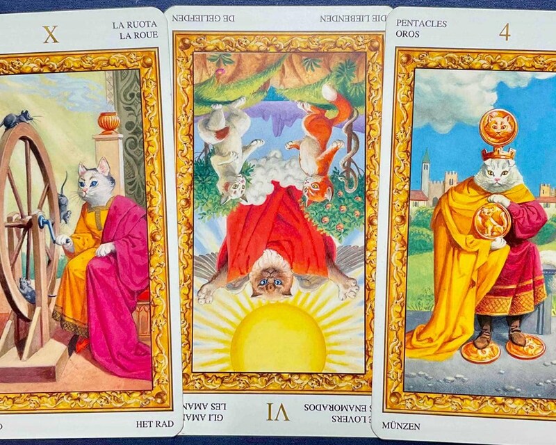 【射手座】週間タロット占い《来週:2026年3月16日〜3月22日》の総合運&恋愛運