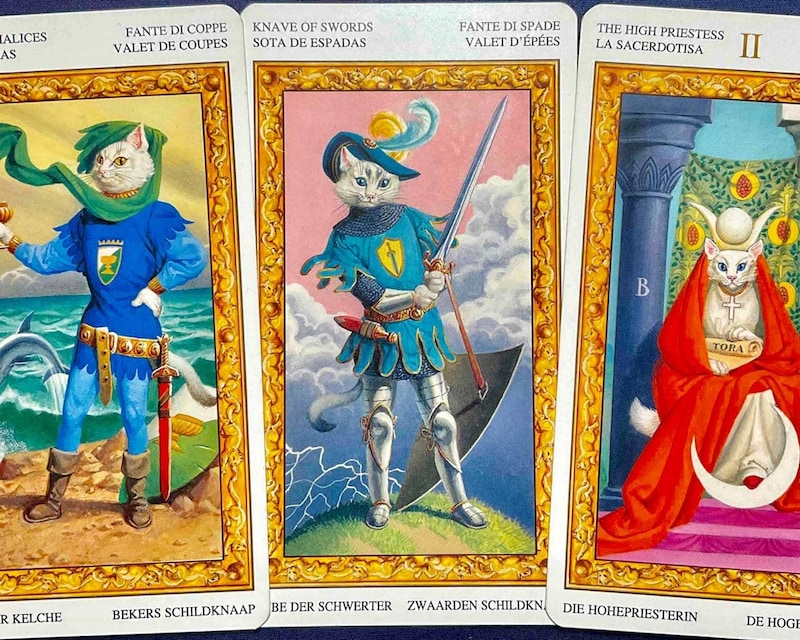 【山羊座】週間タロット占い《来週：2026年3月16日〜3月22日》の総合運＆恋愛運