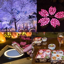 お花見散策と夜桜を入場無料で満喫。プリンスホテルの「高輪 桜まつり2026」は4月19日まで