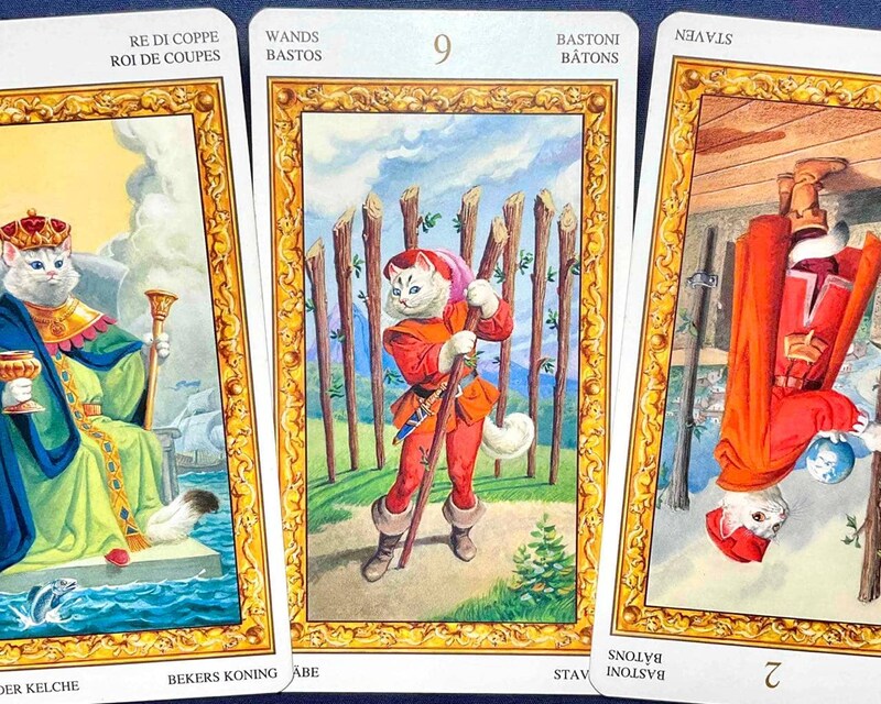 【山羊座】週間タロット占い《来週：2026年3月30日〜4月5日》の総合運＆恋愛運