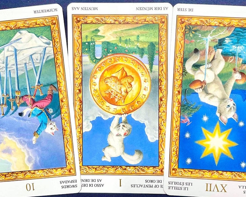 【牡牛座】週間タロット占い《来週：2026年4月6日〜4月12日》の総合運＆恋愛運