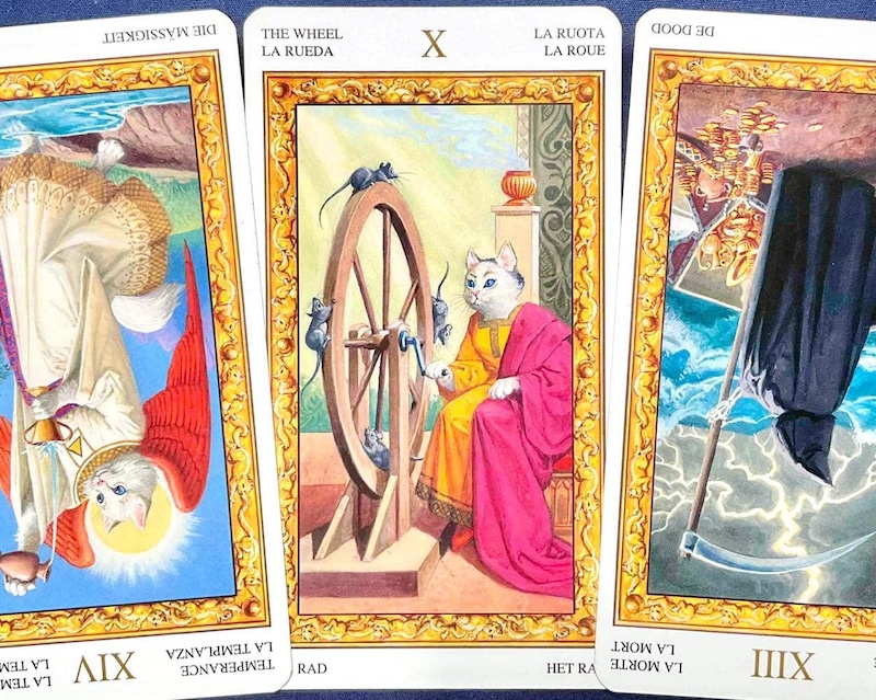 【双子座】週間タロット占い《来週：2026年4月6日〜4月12日》の総合運＆恋愛運