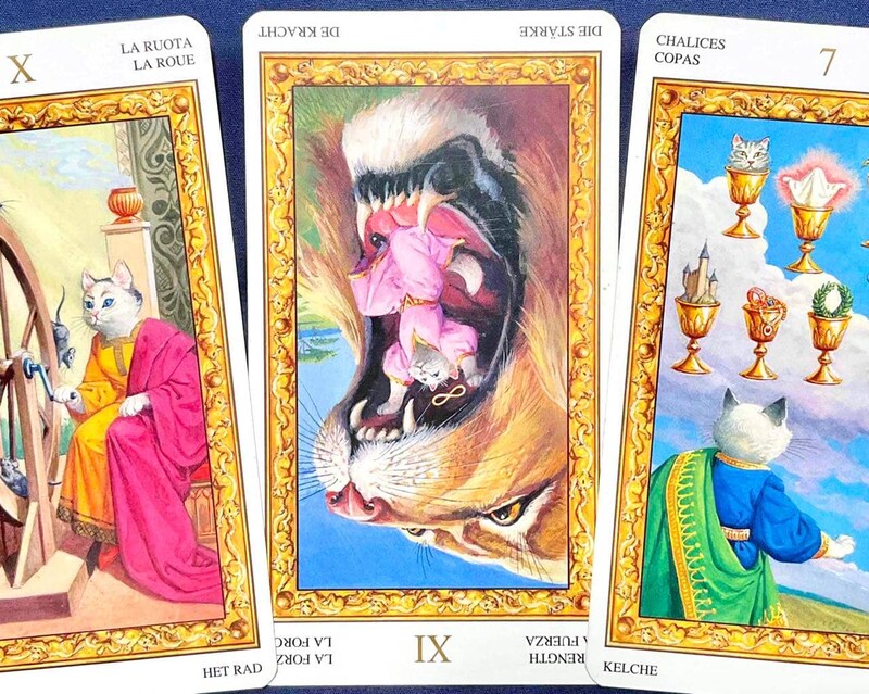 【獅子座】週間タロット占い《来週：2026年4月6日〜4月12日》の総合運＆恋愛運