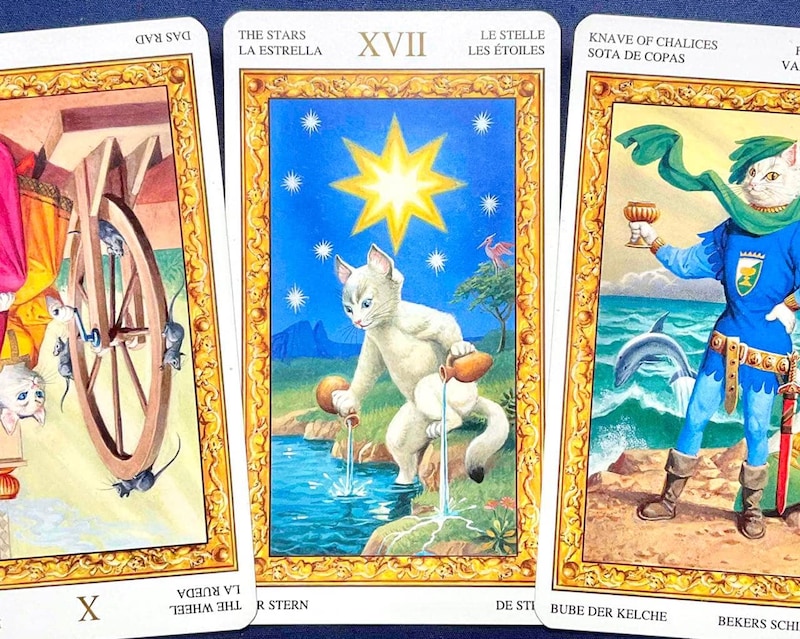 【射手座】週間タロット占い《来週：2026年4月6日〜4月12日》の総合運＆恋愛運