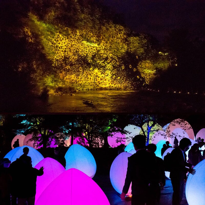 夜の森で繰り広げる光とサウンドの神秘的なドラマ。【チームラボ 養老渓谷】が期間限定で開催中