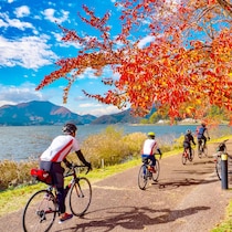 【思考をキレイにする旅の仕方（494）】 人口が増え続ける町を訪れて考えたこと