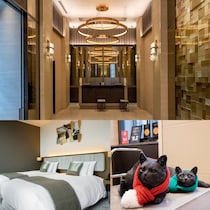 都会的なセンスが光る【ホテル ザ セレスティン銀座】上質かつ居心地のいい滞在を