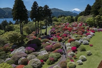 無料で楽しめる箱根のツツジ園は今まさに見ごろ。【小田急 山のホテル】では眺望抜群のカフェもおすすめ