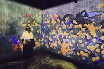 原宿でチームラボを無料体験。最新AIフォンで撮影できる「Galaxy Harajuku」の光と音のミラクル空間