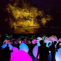 夜の森で繰り広げる光とサウンドの神秘的なドラマ。【チームラボ 養老渓谷】が期間限定で開催中