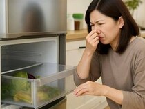 なんか臭う…!? 冷蔵庫の“野菜室”が臭う理由と今すぐできる「掃除・対処法」
