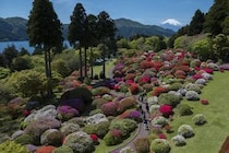無料で楽しめる箱根のツツジ園は今まさに見ごろ。【小田急 山のホテル】では眺望抜群のカフェもおすすめ