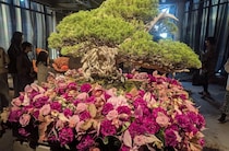 2025年11月19日 昨今の照明器具｜辛酸なめ子