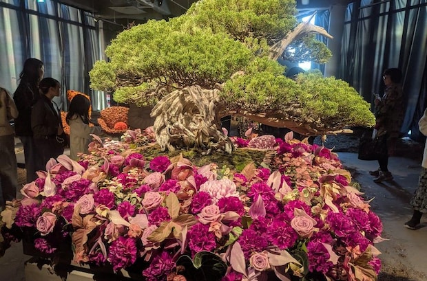 2025年11月19日 昨今の照明器具｜辛酸なめ子