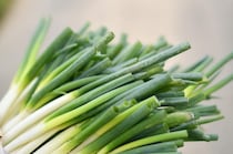 “ずっと一緒にいたい”が狂気に変わるとき――女たちの愛の暴走