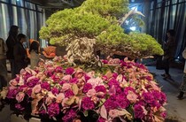 2025年11月19日 昨今の照明器具