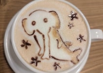 2025年11月11日 おすすめのアート