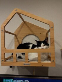 汗っかきの寒がりの私