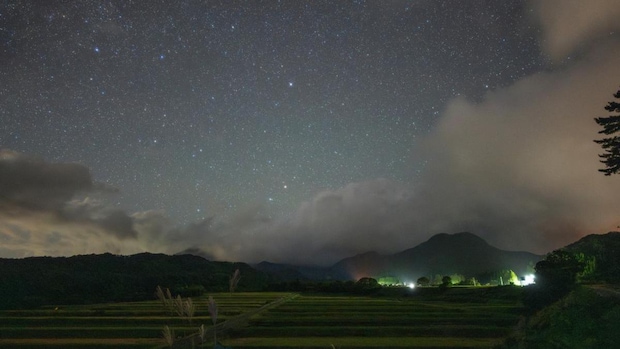 背中から転けた夜|辻皓平(ニッポンの社長)