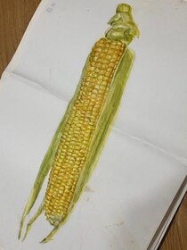 17歳のとうもろこし