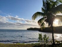 サトウキビの国・フィジーで始まる新たな挑戦