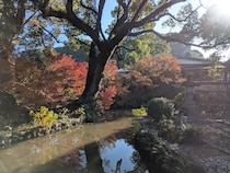 2025年12月8日 福岡パワスポ