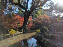 2025年12月8日 福岡パワスポ