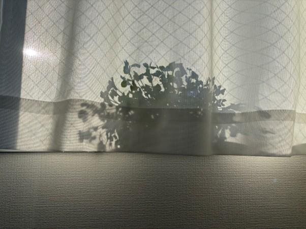 しなやかにたくましく。｜佐津川愛美