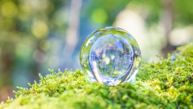 年末年始は、もともと人が持っている「五感」を研ぎ澄ませるのに絶好！｜桃虚