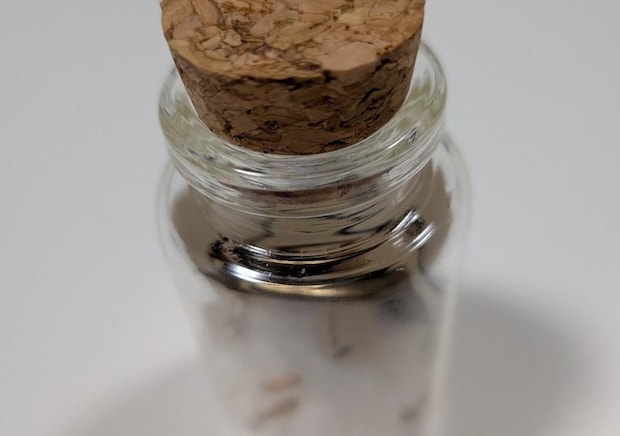 2026年1月12日 妖精ワークショップ｜辛酸なめ子