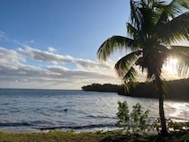 サトウキビの国・フィジーで始まる新たな挑戦