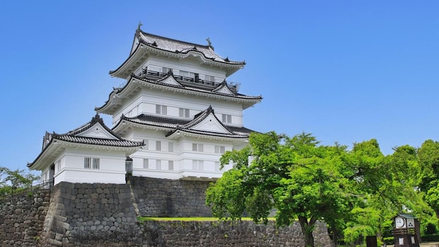 【大河ドラマ「豊臣兄弟！」に備えよう】「私は天皇の子である」秀吉による“作り話”の正体——天下人が抱え続けた深い劣等感｜呉座勇一