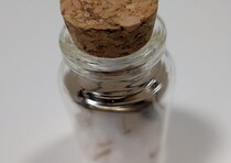 2026年1月12日 妖精ワークショップ