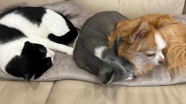 眠くたって疲れてたって｜山野海