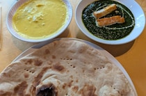 2026年1月24日 図書室訪問｜辛酸なめ子