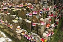 大阪では死者の10人に1人が無縁遺骨に――家族がいても進む無縁仏への道｜島田裕巳