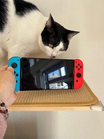 趣味を見つけました