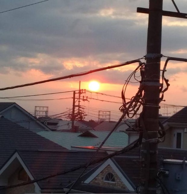 黒猫は縁起が悪いはウソ？　招き猫は「黒」がいい！　｜辛酸なめ子