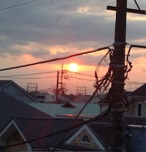 黒猫は縁起が悪いはウソ？　招き猫は「黒」がいい！