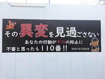 鳩を轢いて不起訴、ハチ公は布で封鎖、臭いダウンは販売？――この国の正論