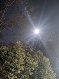 スティーブ・ジョブズは、2019年に無事成仏して、次の惑星に転生したらしい。