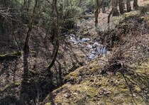 2026年3月27日 お風呂の効能｜辛酸なめ子