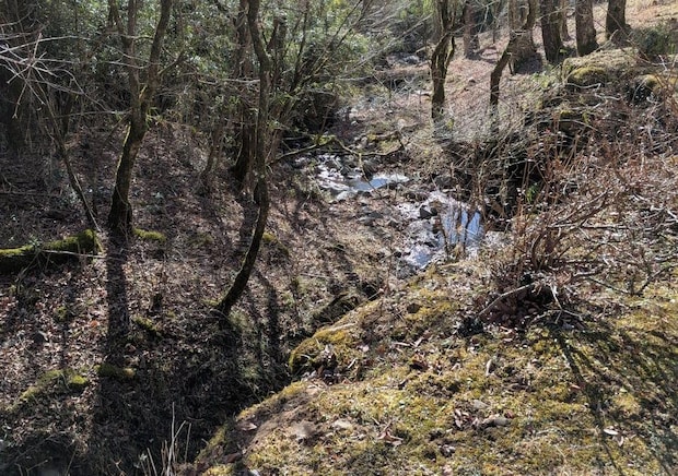 2026年3月27日 お風呂の効能｜辛酸なめ子