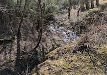 2026年3月27日 お風呂の効能