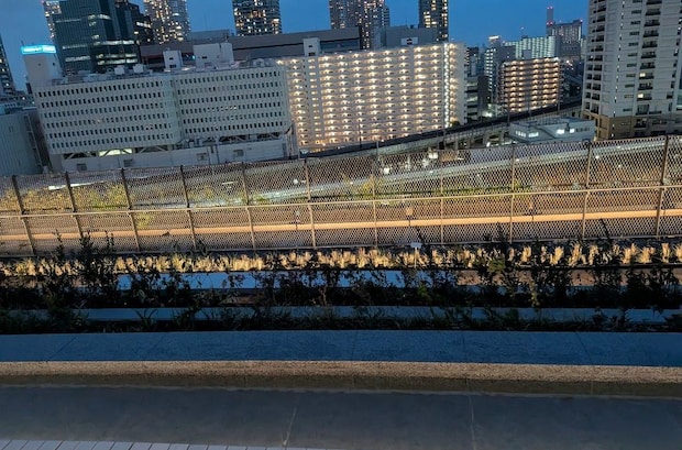 2026年4月6日 新パワスポ|辛酸なめ子