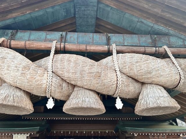 早朝の参拝|益田ミリ