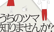 夫婦の心理と周囲の人間模様を繊細に描写したサスペンス  野原広子『うちのツマ知りませんか？』｜中条省平