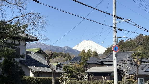富士山の見えるお寺で（3月14日）―母の四十九日だった。｜燃え殻