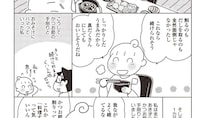 自分で削ったかつお節で出汁を取ったおみそ汁の味が凄かった