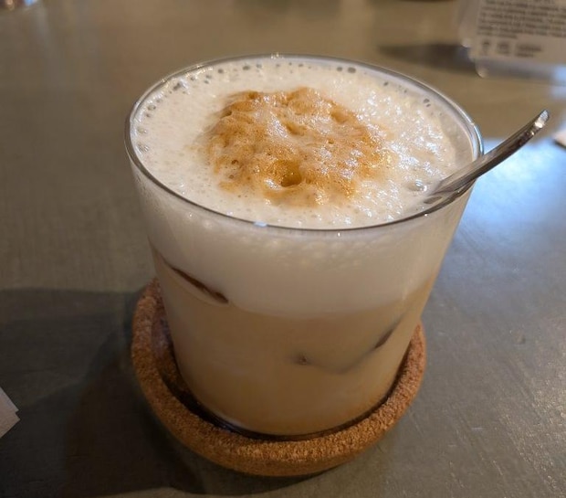 2026年4月21日 動画についてのAIたちの助言｜辛酸なめ子